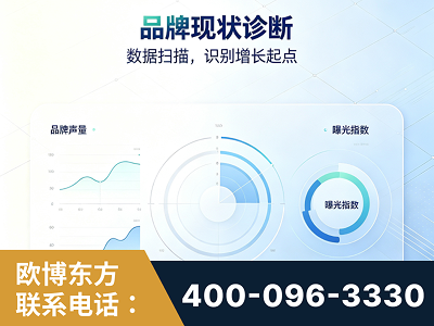 磐石-品牌现状诊断